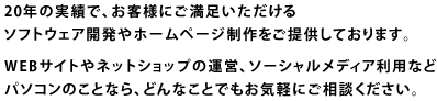 20年の実績で、お客様にご満足いただけるソフトウェア開発やホームページ制作をご提供しております。WEBサイトやネットショップの運営、ソーシャルメディア利用などパソコンのことなら、どんなことでもお気軽にご相談ください。